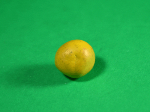 l-kuritsa20